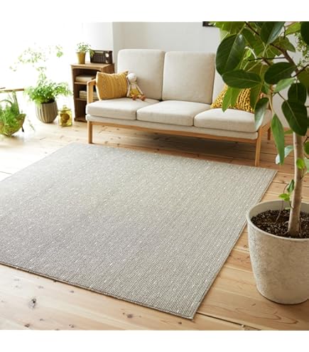 Amazon.co.jp: スミノエ 防音 ラグ ラモカ 190×240cm ブラウン